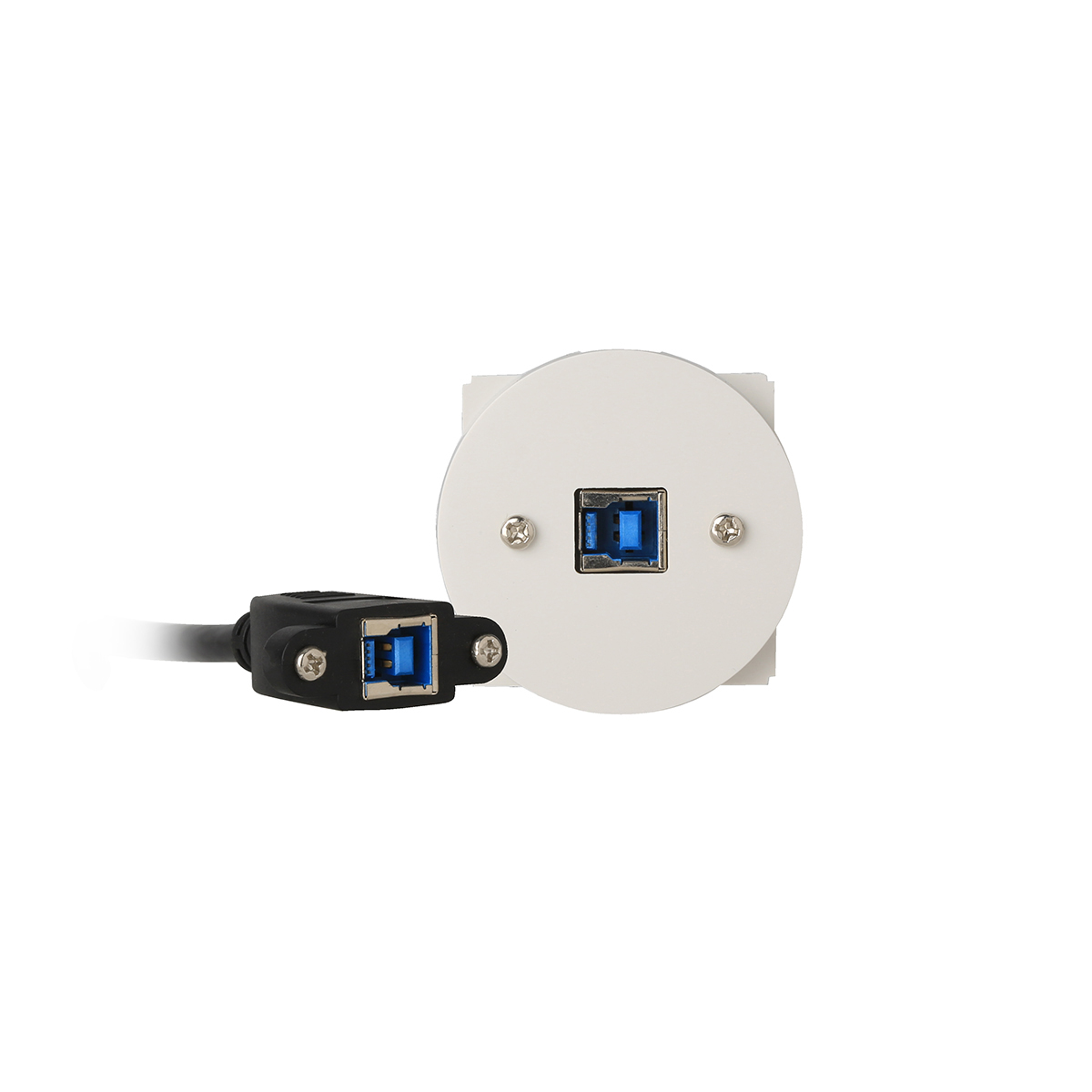 Plastron Céliane USB B 3.0 Femelle/Femelle